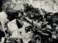 IMG_7947-Medium