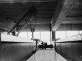 Folder-Three-neg-2-Crossness-1961.jpg