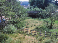 saltisford_0002